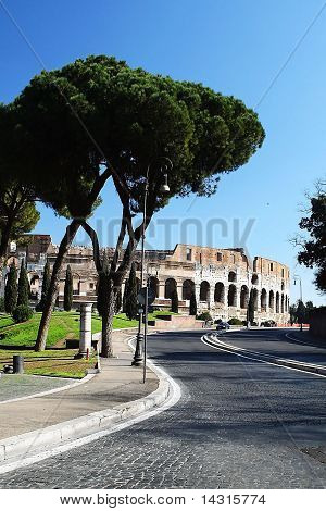 Coloseum yolda