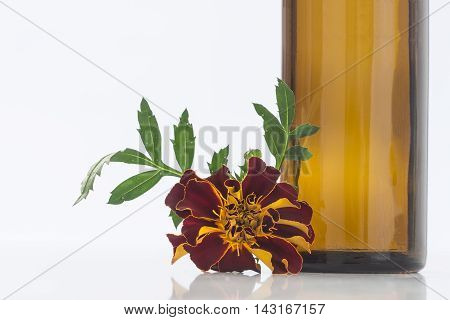 Small bottle of essential oil Tagetes flowers extract