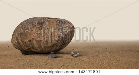 Big cobblestone standing in the deserted wilderness.