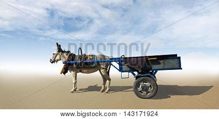 The donkey harnessed to a cart standing in the desert.