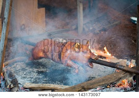 A pig is roasted on an open flame on a spit