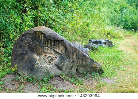 The imprint ammonite fossil in the ancient granite stone of jurassic age