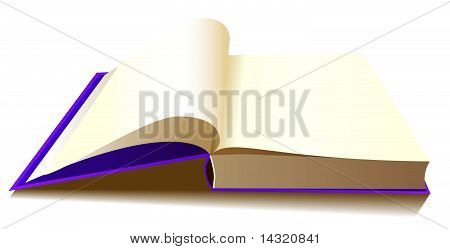 หนังสือม่วง