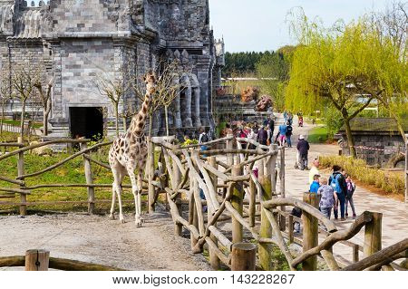 Pairi Daiza, Belgium - April 11, 2016: Giraffe in the zoo Pairi Daiza and people around