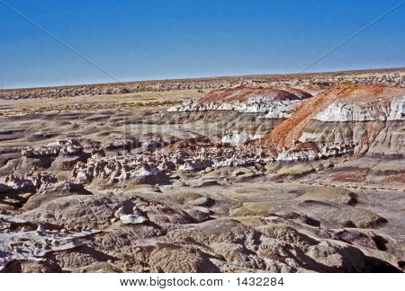 starożytne DNA w Bisti Badlands