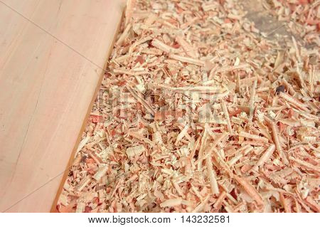 Old cabinet scraper spokeshave sapele exotic hardwood sawdust board chip shavings.