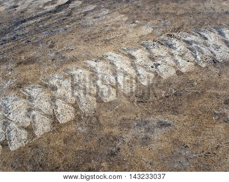 Folk lift Tire track on contrete floor