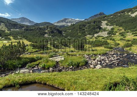 Panoramic view of Banderishki Chukar Peak and mountain river, Pirin Mountain, Bulgaria