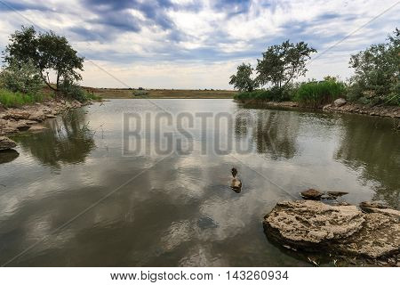 A quiet backwater pond view. A fantastic spectacle.
