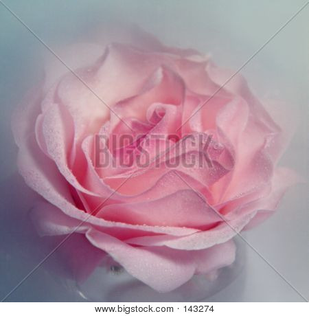奥さまは魔女ローズ