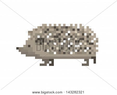 Vector pixel art icon realistic gray walking hedgehog isolated on white background.