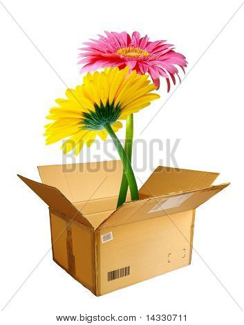 Pakket blomster