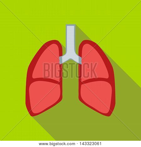 Lungs icon in flat style with long shadow. Human organs symbol