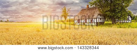 Typical Danish Picturesque old houses and wheatfield at Sunrise / Sunset in Kvaerndrup, Denmark  