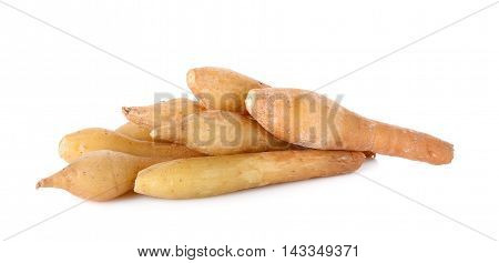 Finger Root Isolated On The White Background