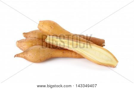 Finger Root Isolated On The White Background