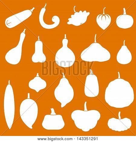 Vector illustrations of silhouette squashes set. Cucurbita pepo moschata maxima. Icon on orange background