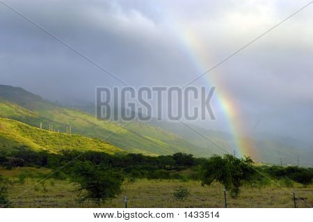 Tropické Rainbow