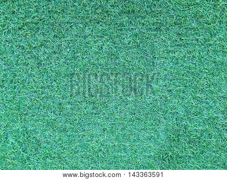 green artificial grass field texture and background