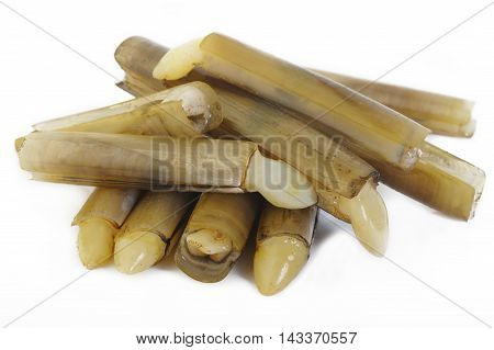 razor shells seafood at on white background
