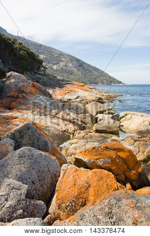 A beach in a remote part of the Freycinet Peninsula in Tasmania, Australia