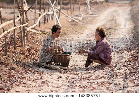 Asian old woman in the forest .