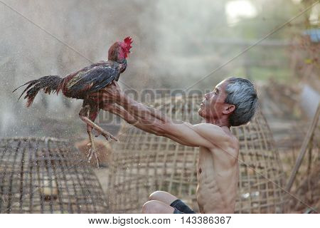 Old man cleaning the chicken at countryside Thailand