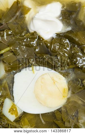 Above View Of Vegetarian Soup From Fresh Greens