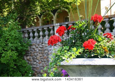 flowers on a staircase in an old mansion
