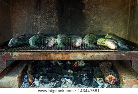 Fresh fish on a makeshaft grill outdoors