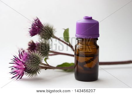 bottle with вurdock (castor agrimony) оil agrimony branch