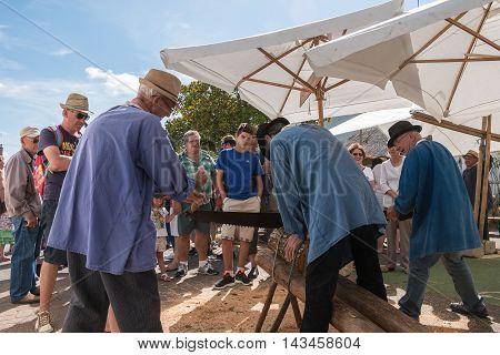 Loggers Cut Wood With A Saw Former Lumberjack