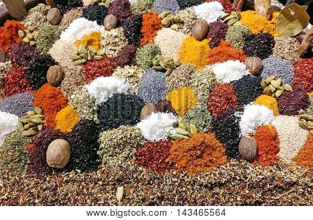 Different kinds of fresh spices as background