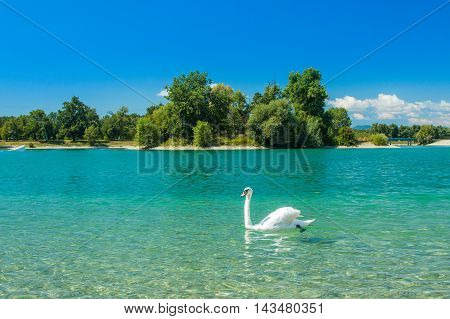 White swan on beautiful Jarun lake in Zagreb, Croatia, sunny summer day, green island in background