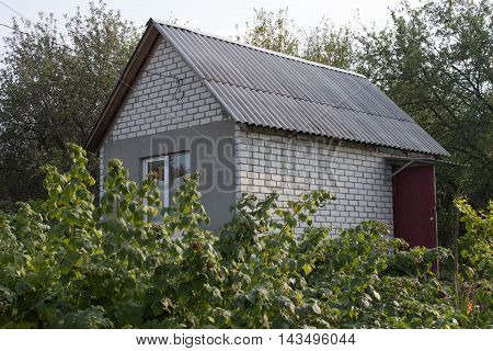 well summer vacation at the cottage everything is in bloom