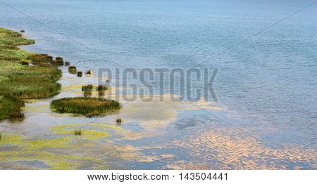 picture of a lake Prespa in Albania in summer