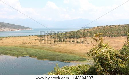 picture of a lake Prespa in Albania in summer