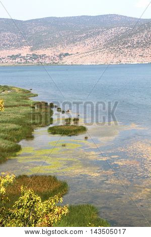 picture of a lake Prespa in Albania in summer