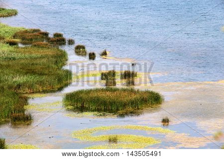 picture of a lake Prespa in Albania in summer