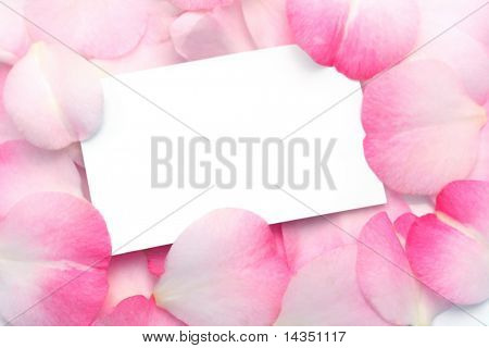 Um cartão em branco no meio de pétalas de rosa muito.