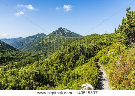Path overlooking the beautiful summer mountain landscape.