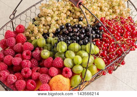 Summer fruits and berries - red black and white currants raspberries gooseberries peaches and apricots. Selective focus.