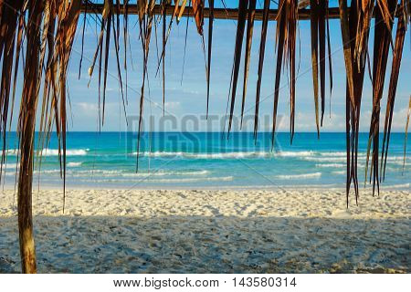 Wonderful tropical beach in Cuba with crystal clear water sunshine and palm leaf sun Umbrellas