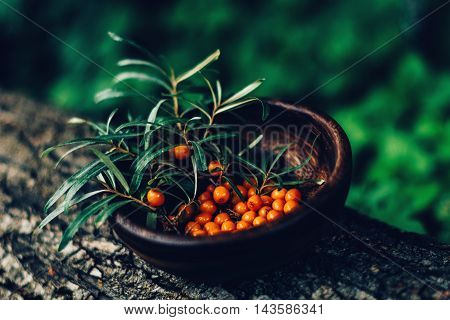Seabuckthorn berries in a wooden bowl. Selective focus, moody tone