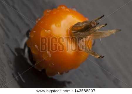 an orange cocktail tomato after a rain