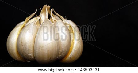 a close up from a clove of garlic