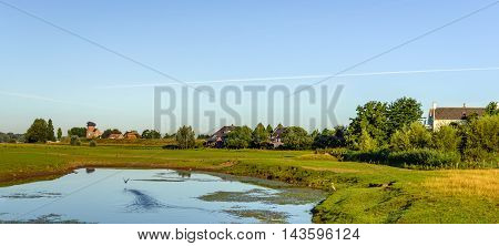 Natural pond in the floodplains on the outskirts of a Dutch village. A heron stands on the waterfront and other water bird just flies away.