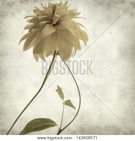 Textured Old Paper Background