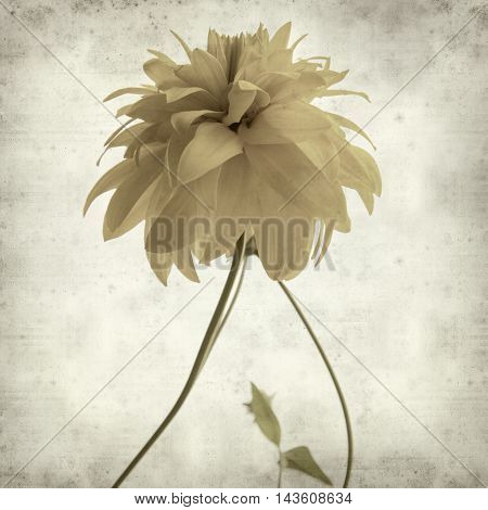 Textured Old Paper Background