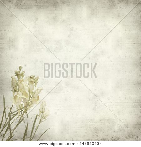 Textured Old Paper Background